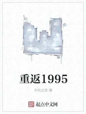 重返1995封面