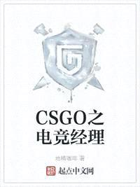 CSGO之电竞经理封面