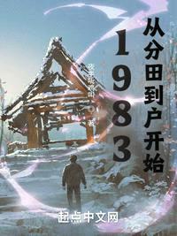 1983：从分田到户开始封面